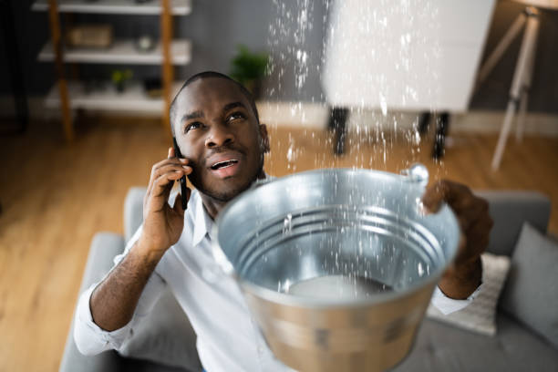 Best Flood restoration services  in Matamoras, OH