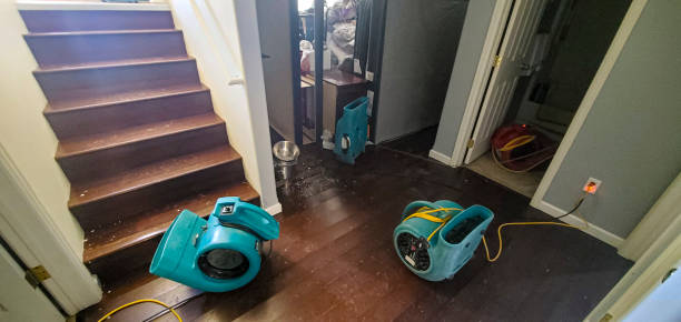Best Flood damage cleanup  in Matamoras, OH