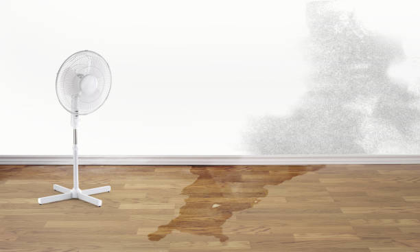 Best Emergency water damage restoration  in Matamoras, OH