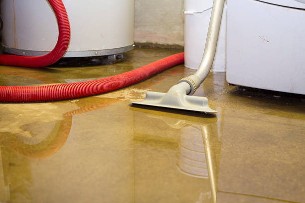 Best Carpet water damage restoration  in Matamoras, OH
