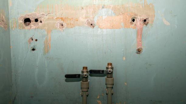 Best Water damage cleanup near me  in Matamoras, OH